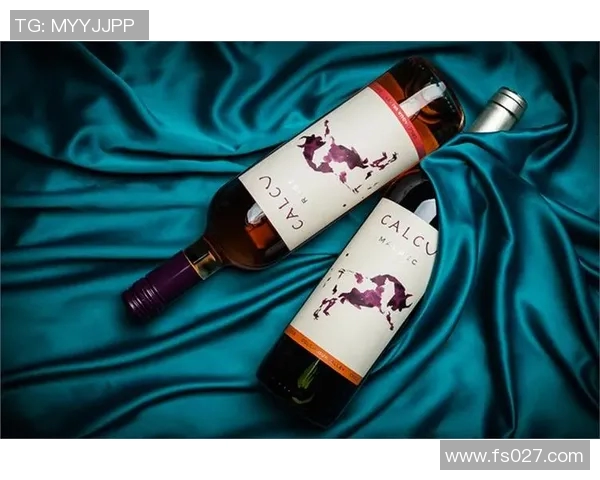 智力大学与科尔查瓜的精彩对决揭示足球战术与团队协作的魅力